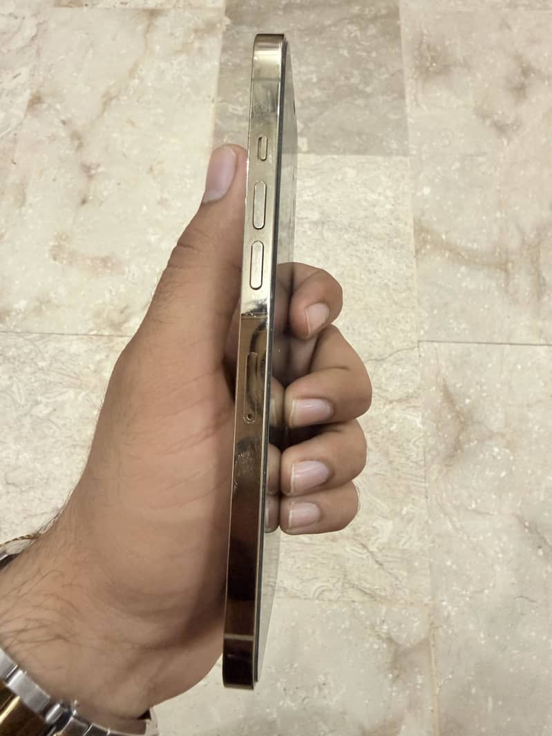 Apple iPhone 12 Pro Max 1