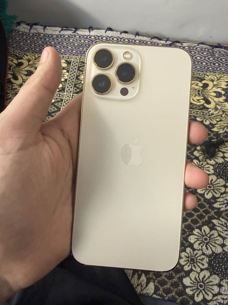 Apple iPhone 13 Pro Max 1