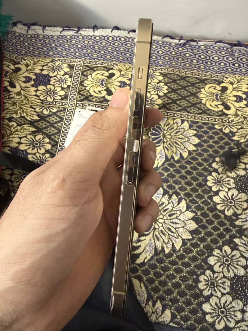 Apple iPhone 13 Pro Max 6