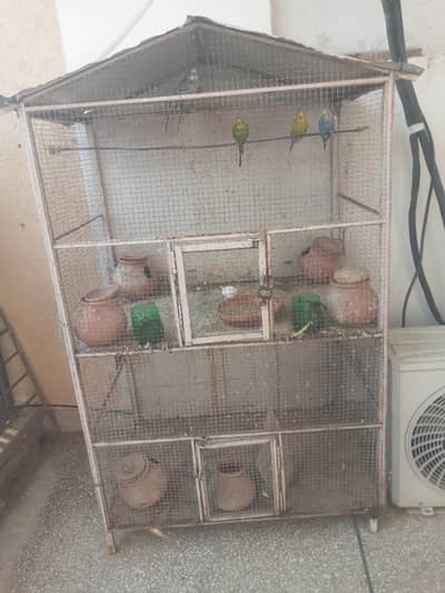 Cage for Parrots and Hen