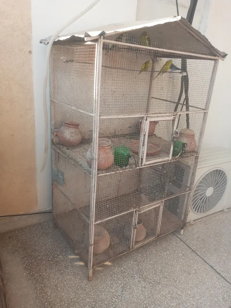 Cage for Parrots and Hen — photo 2