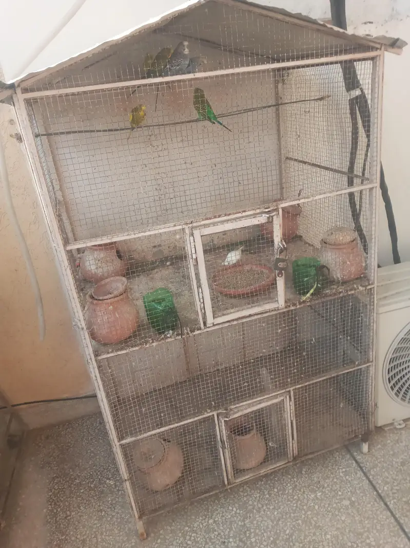 Cage for Parrots and Hen — photo 3