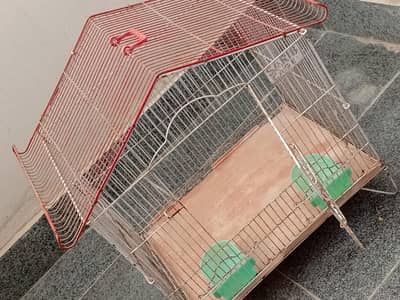 Birds Cage