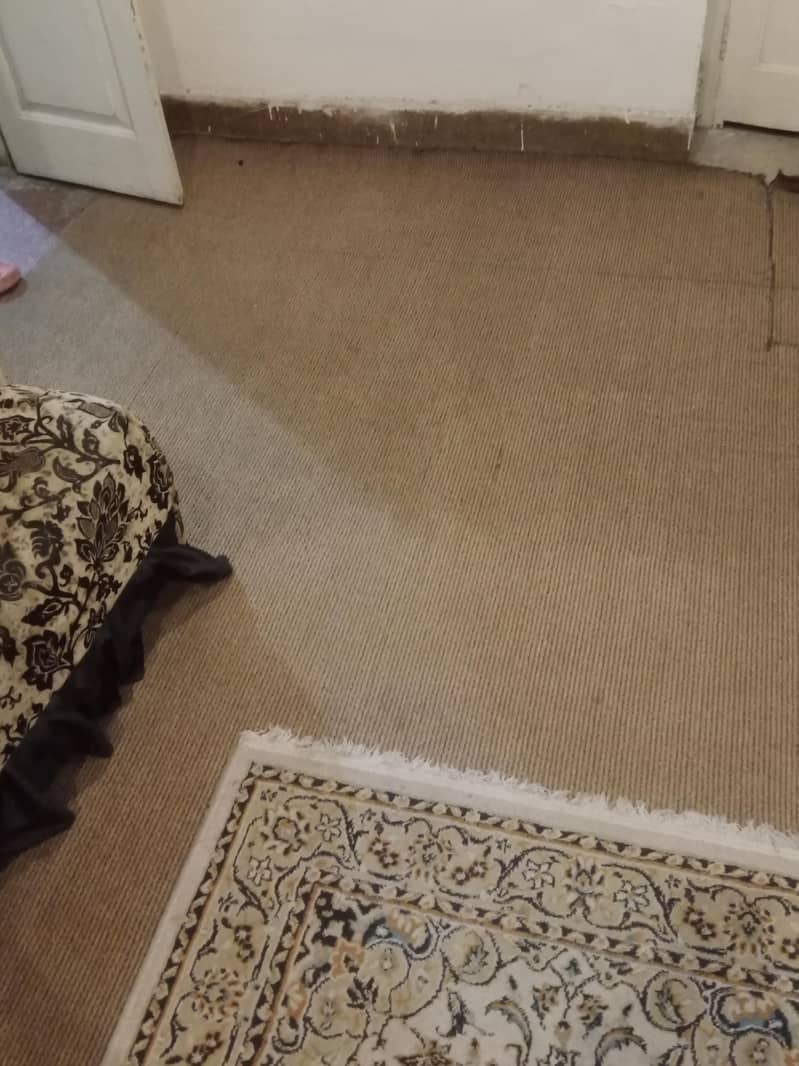 room carpet 0