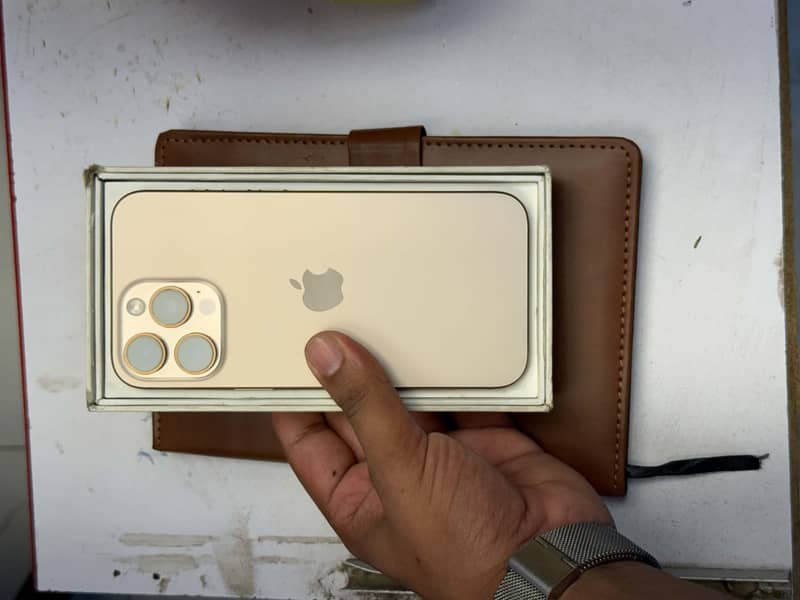 Apple iPhone 16 Pro Max 1