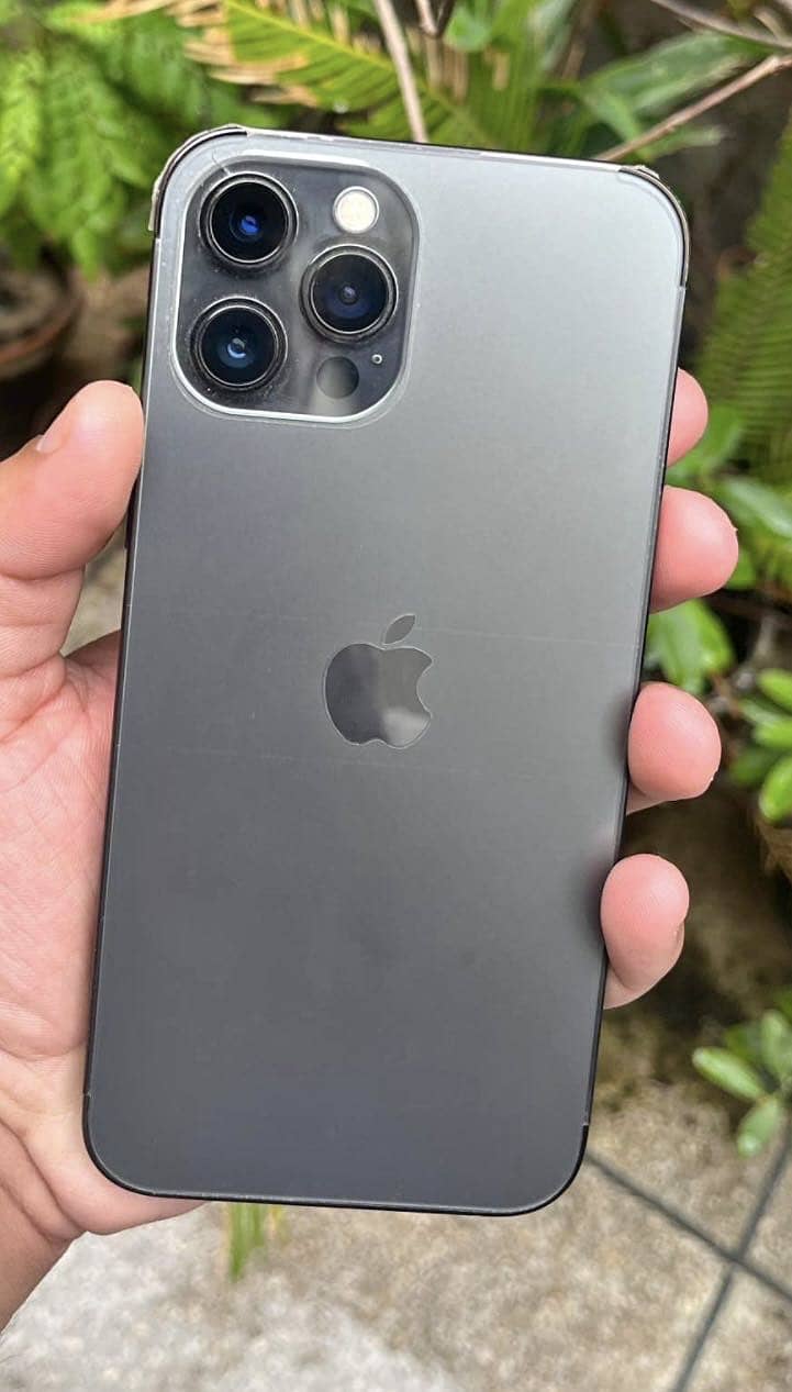 Apple iPhone 12 Pro Max 1