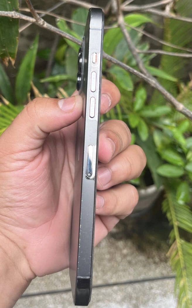 Apple iPhone 12 Pro Max 2