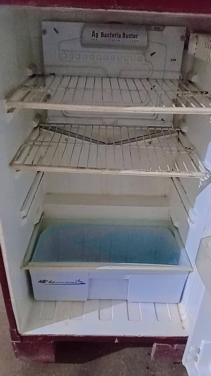 fridge 2
