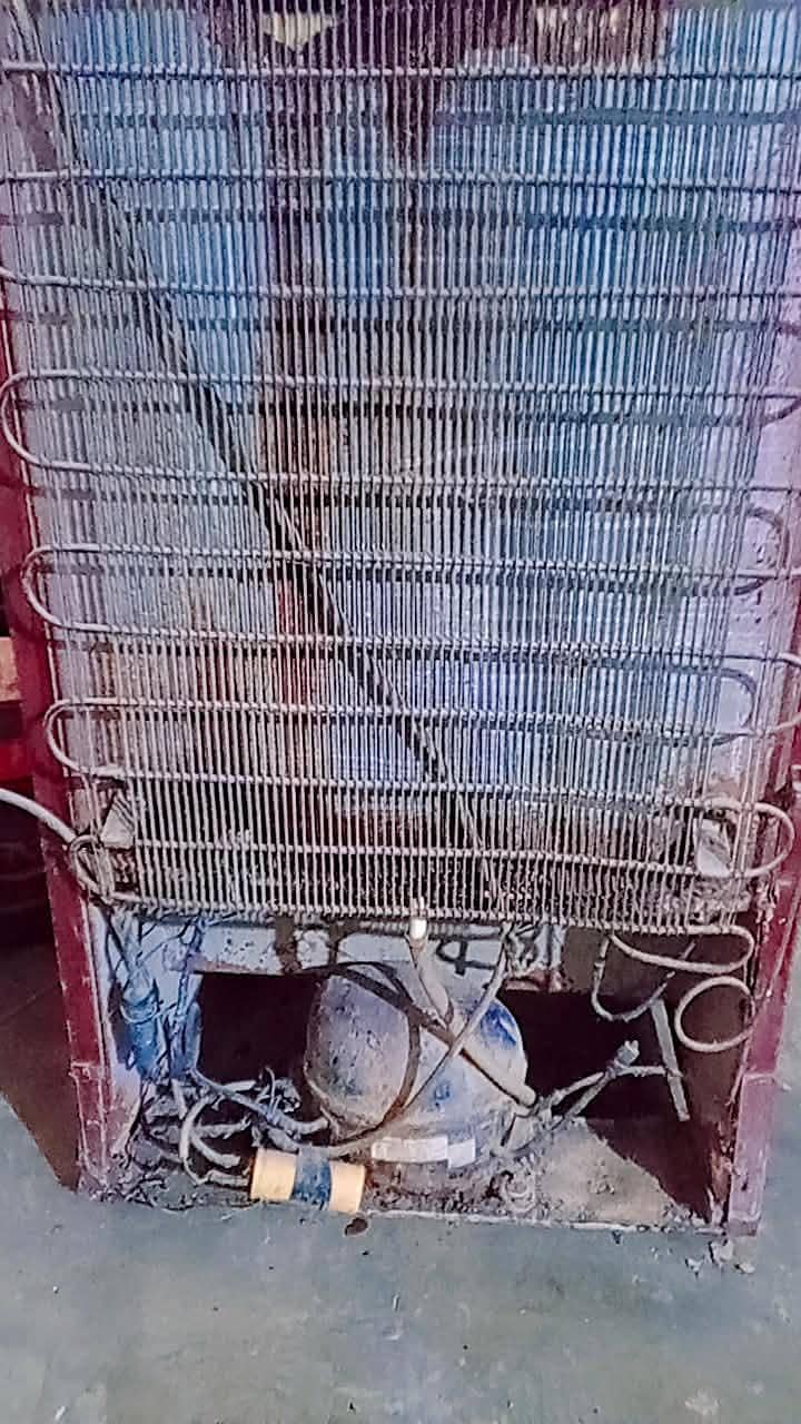 fridge 4