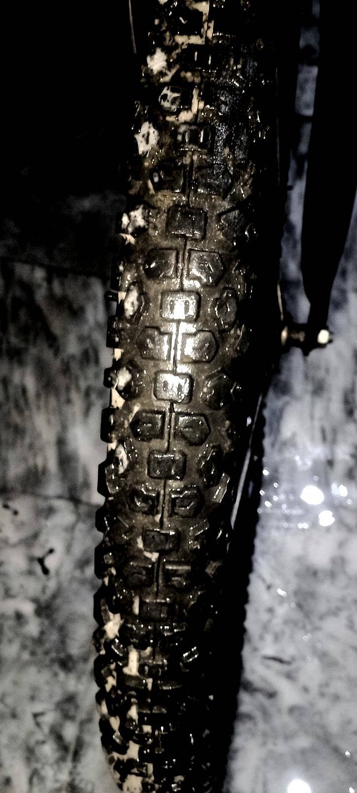 Bicycle (Urgent sale)   *Open for offers 2