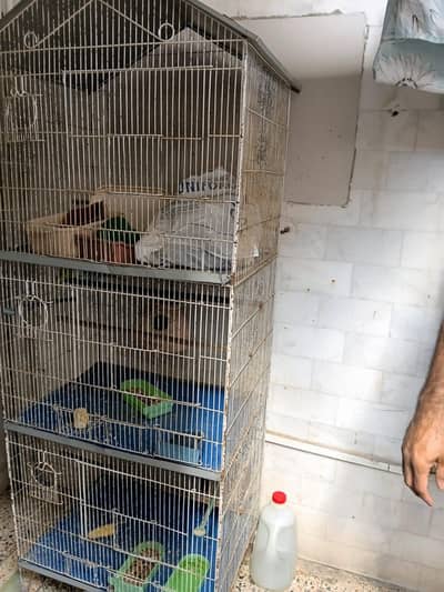 3 row bird cage and a small cage