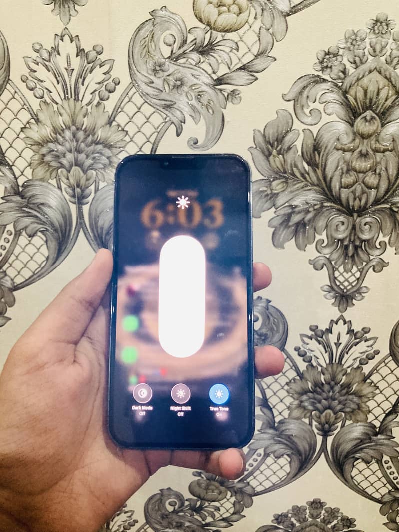 Apple iPhone 13 Pro Max 1