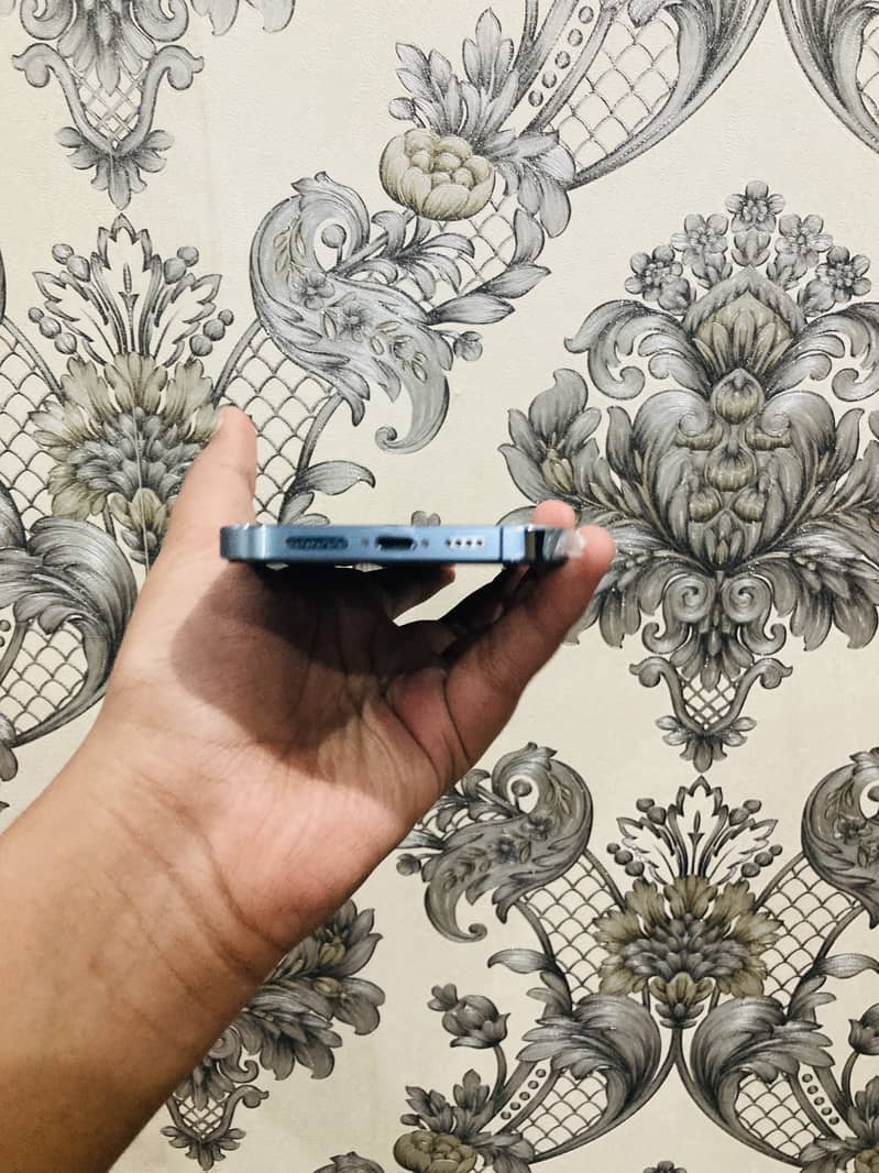 Apple iPhone 13 Pro Max 2