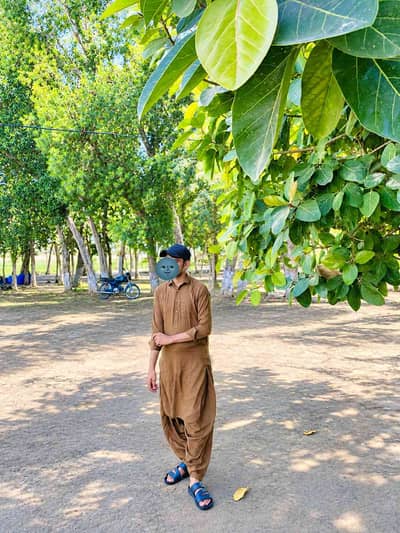 syedaliraza