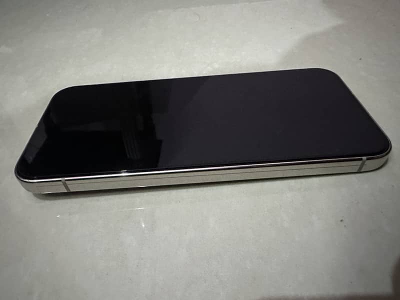 Google Pixel 9 Pro XL 1