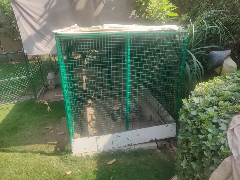 Big Solid Iron Cage for Hens & other Birds — photo 3