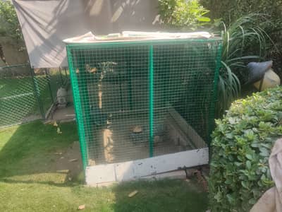 Big Solid Iron Cage for Hens & other Birds