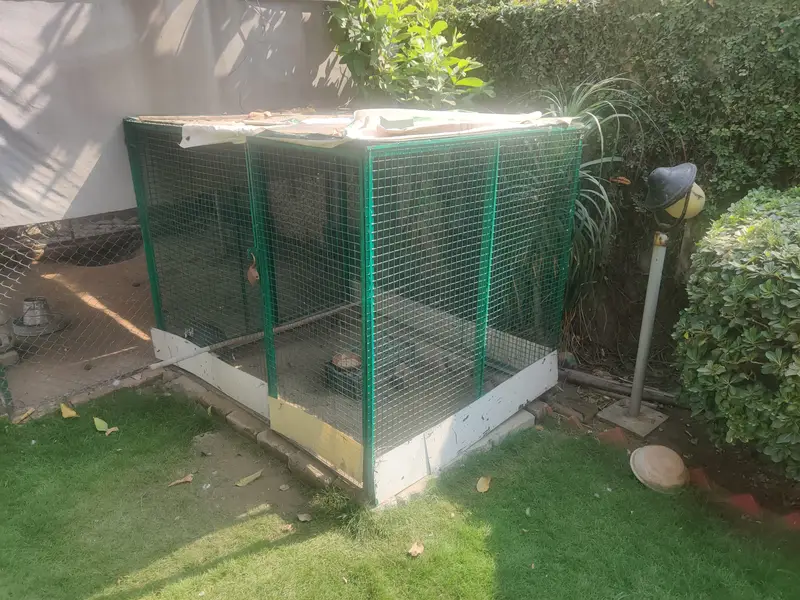 Big Solid Iron Cage for Hens & other Birds — photo 8