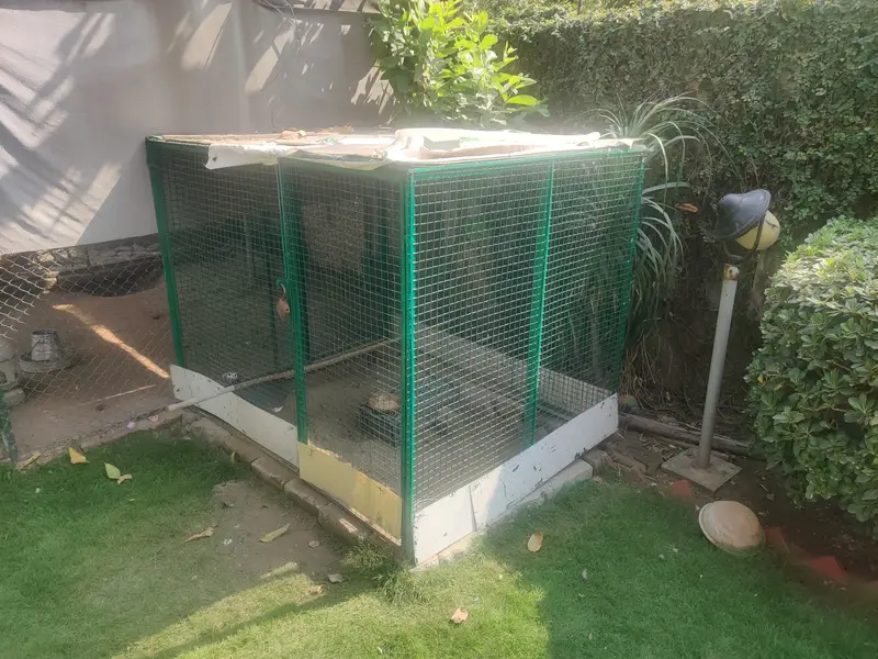 Big Solid Iron Cage for Hens & other Birds — photo 9