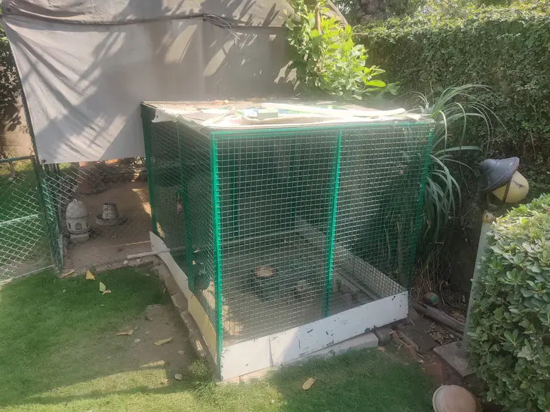 Big Solid Iron Cage for Hens & other Birds — photo 11