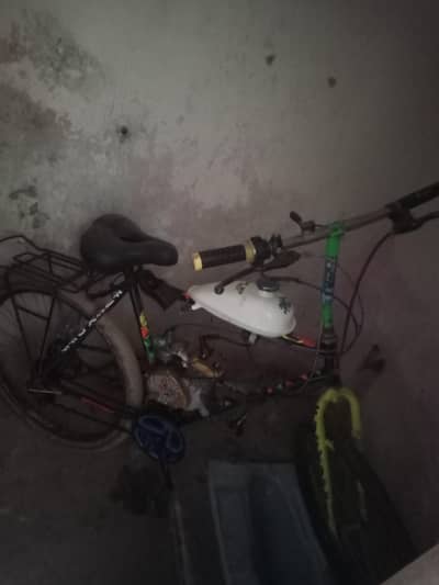 80cc engine cycle for sale wtsp 03204847881