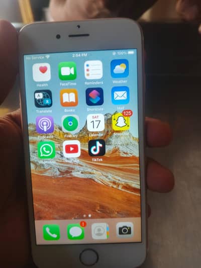Apple iPhone 6S