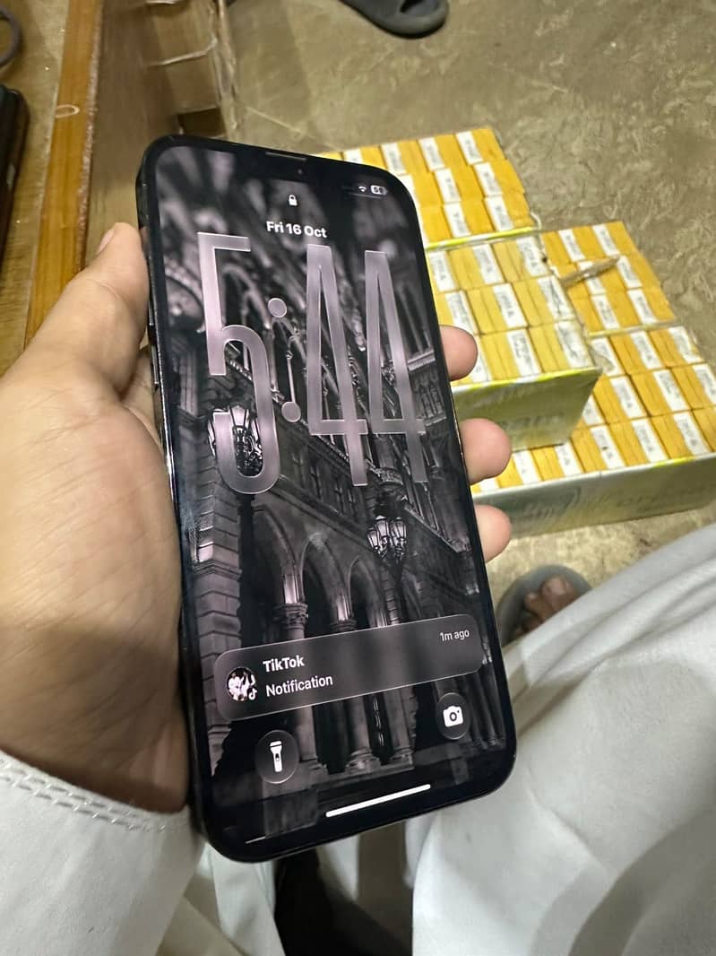 Apple iPhone 13 Pro Max 0