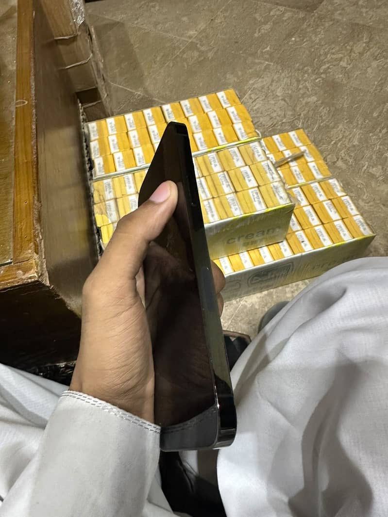 Apple iPhone 13 Pro Max 4