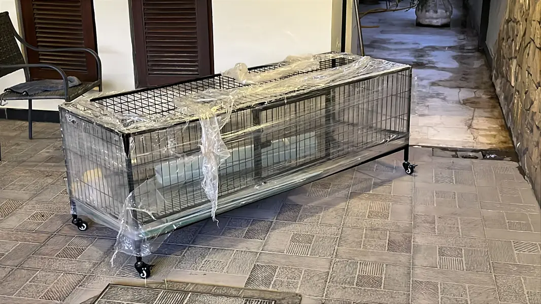 Large Layer Cage for Sale With Wheels-Spacious Metal Cage |Rawalpindi — photo 2