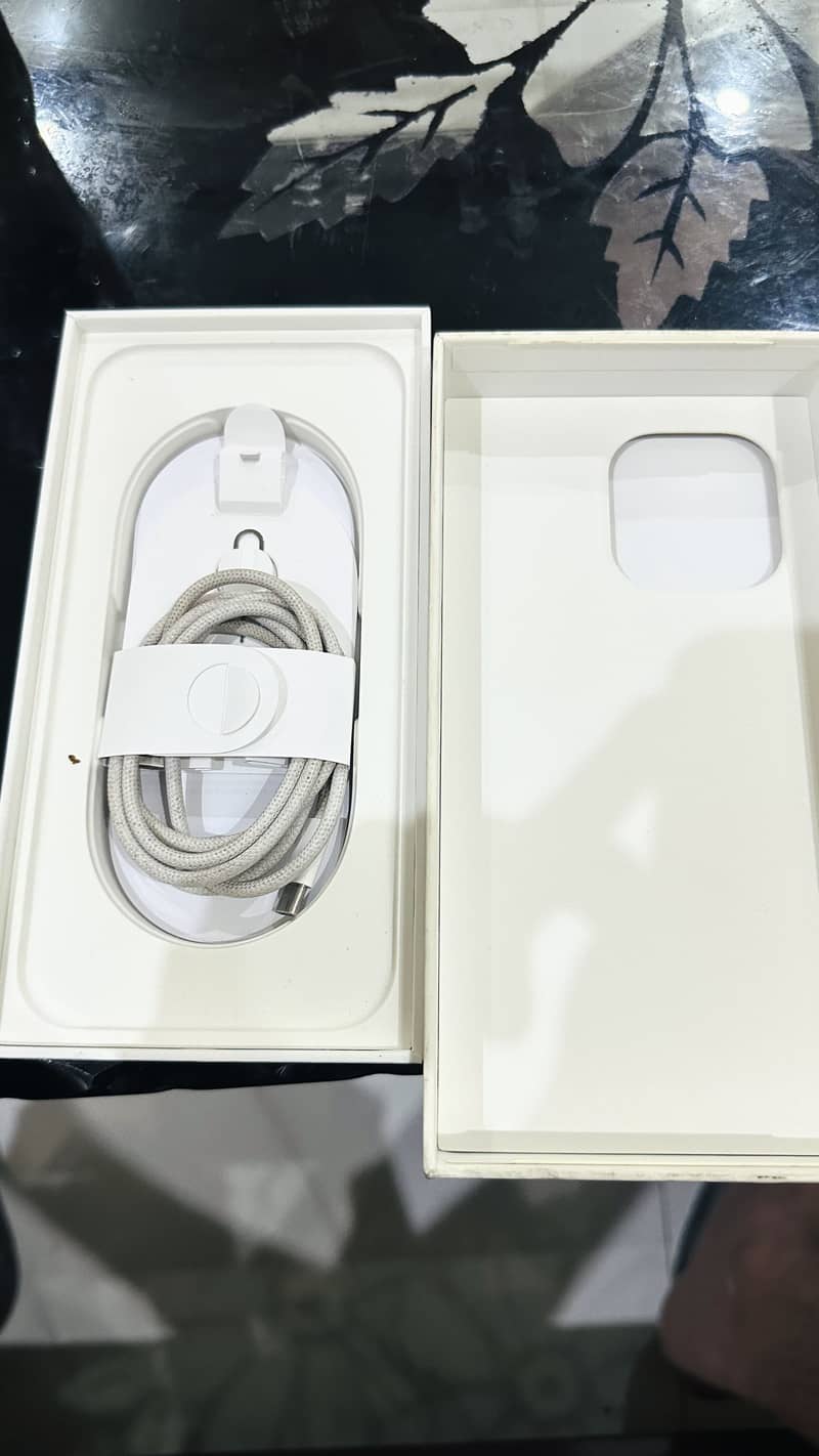 Apple iPhone 16 Pro Max 1