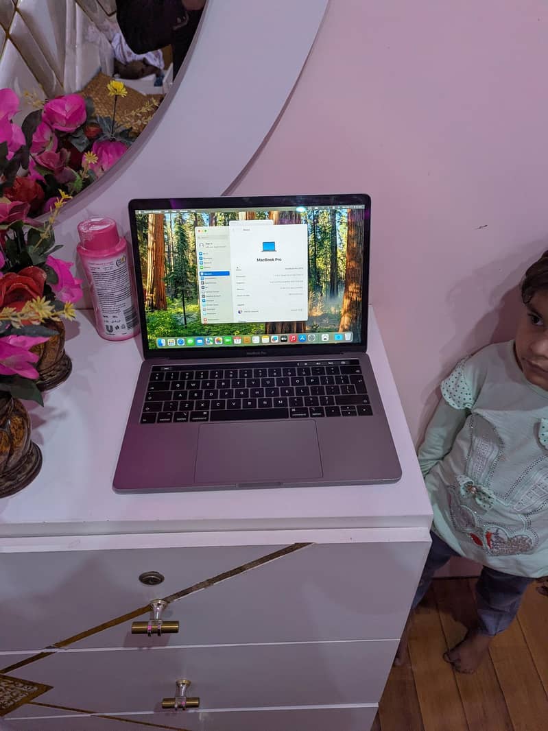 MacBook pro 2019 0