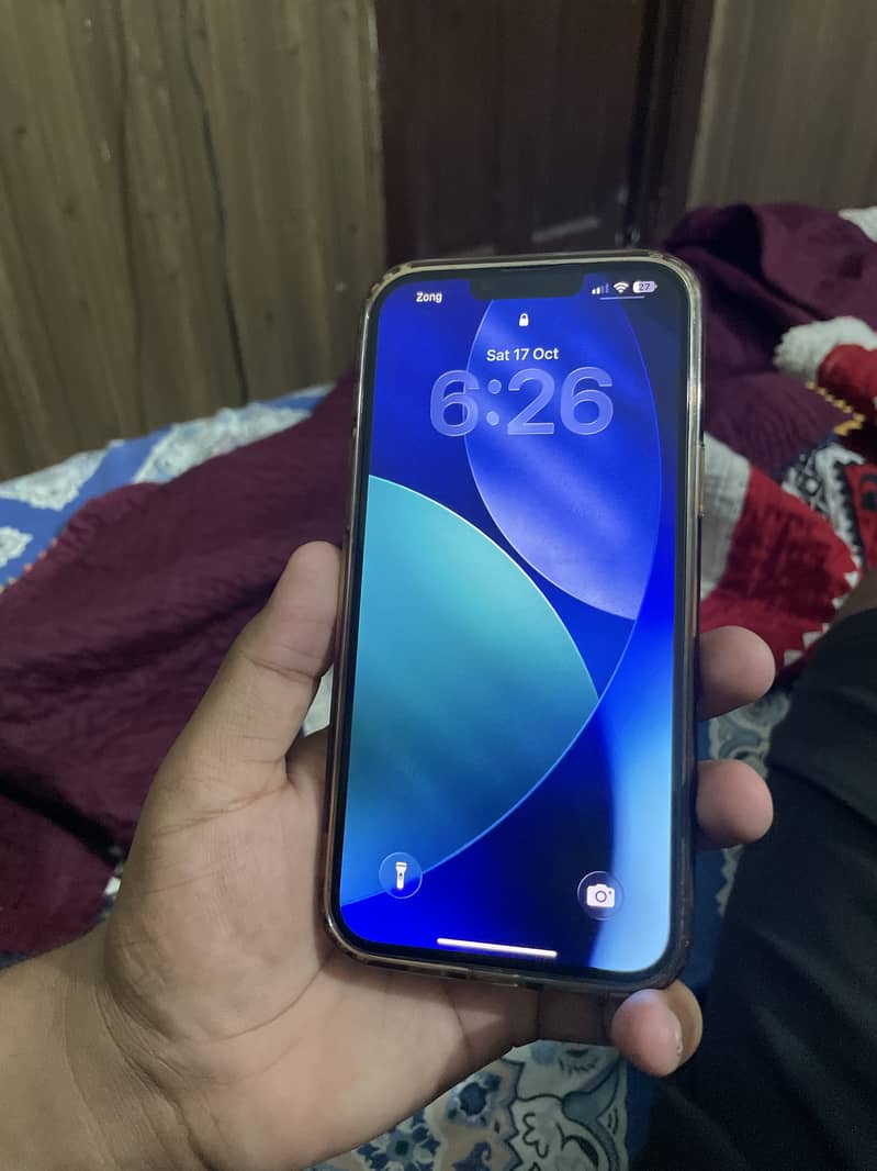 Apple iPhone 13 Pro Max 1