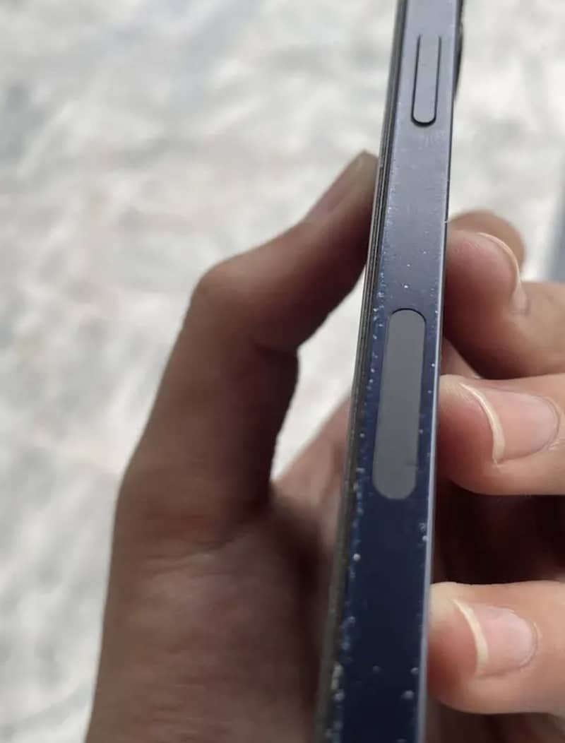 Apple iPhone 12 1