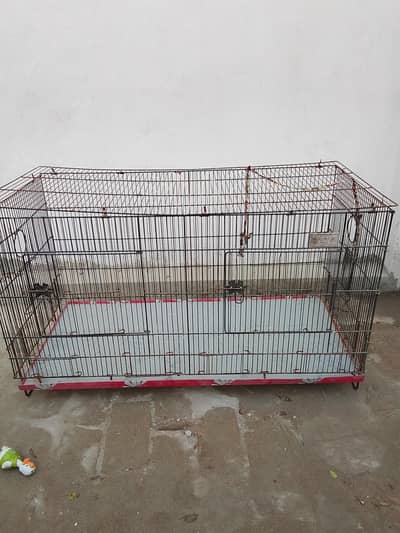 birds cages
