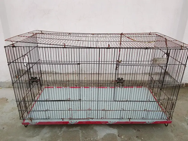 birds cages — photo 2