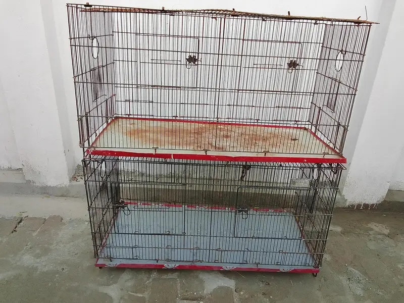 birds cages — photo 3