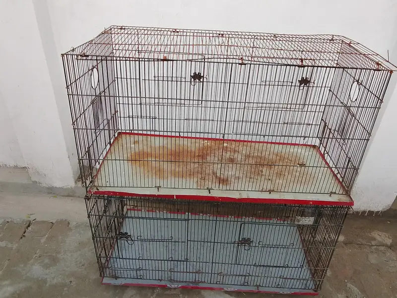 birds cages — photo 4