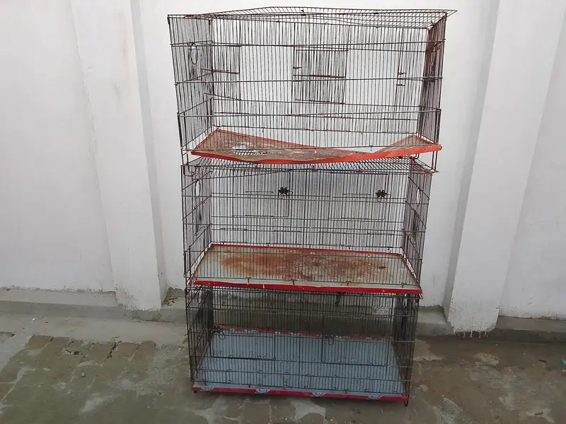 birds cages — photo 5