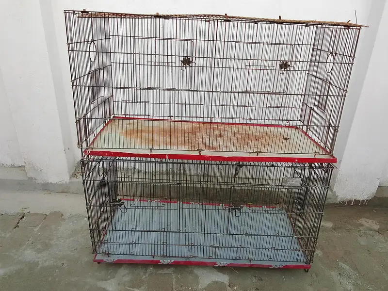 birds cages — photo 7
