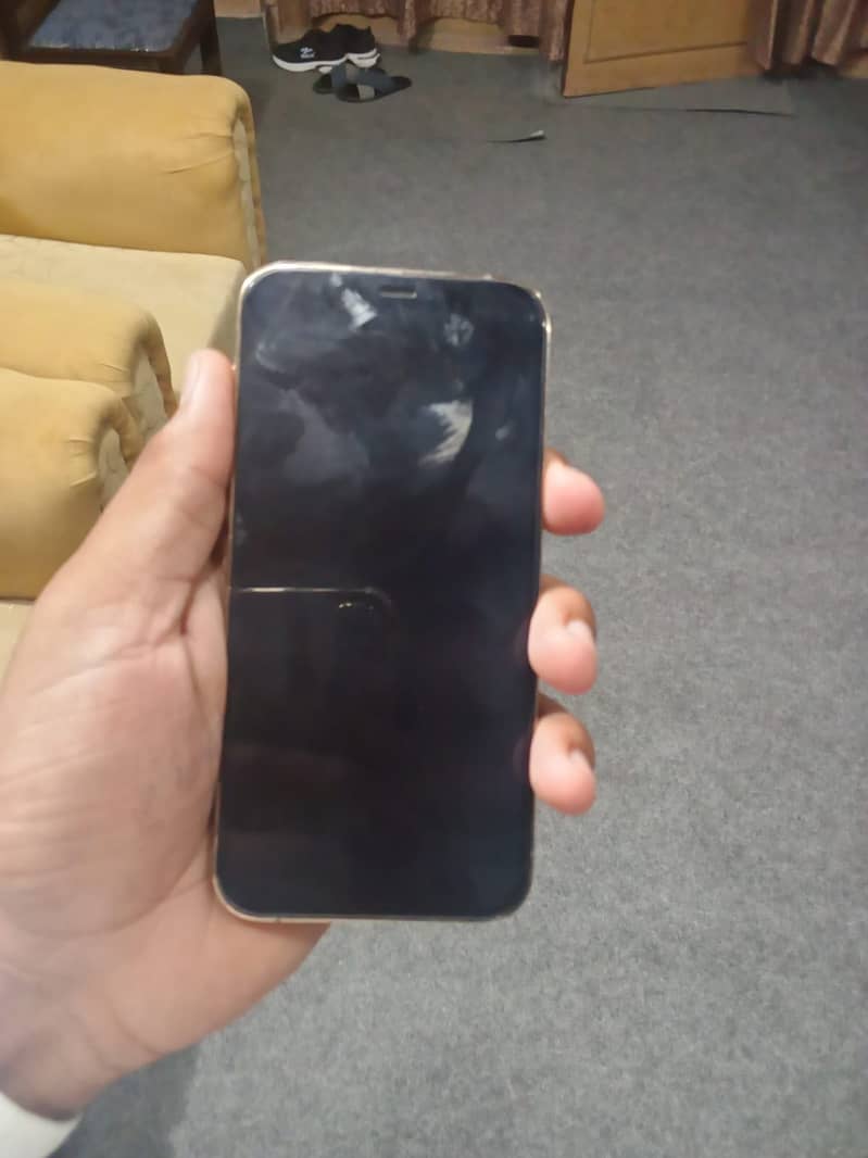 Apple iPhone 12 Pro 1
