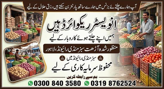 need investor