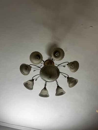 Chandelier for sale