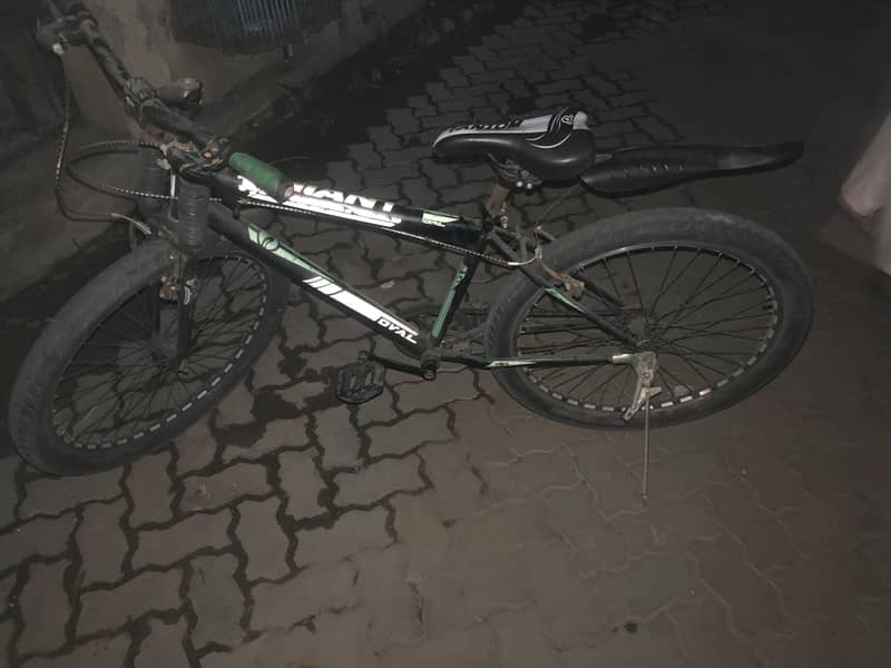 Cycle 3