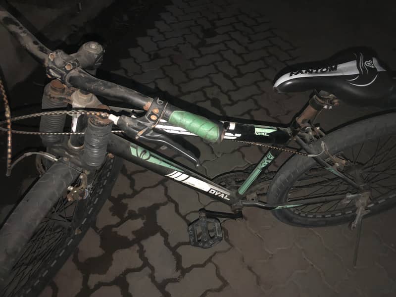 Cycle 5