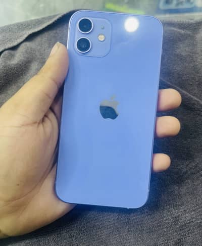 Apple iPhone 12 PTA approved 128 GB