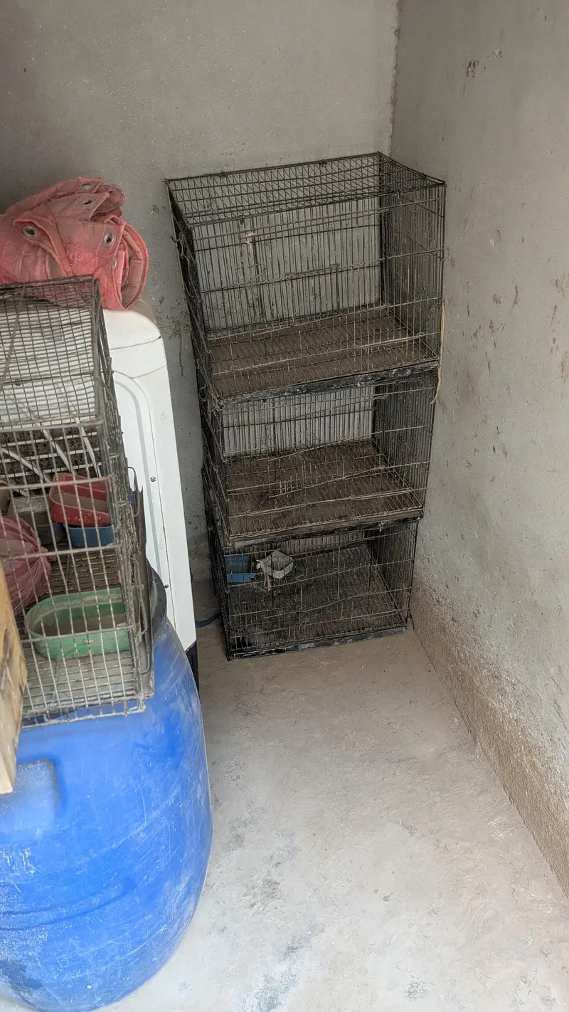 metal cage 4 piece — photo 2