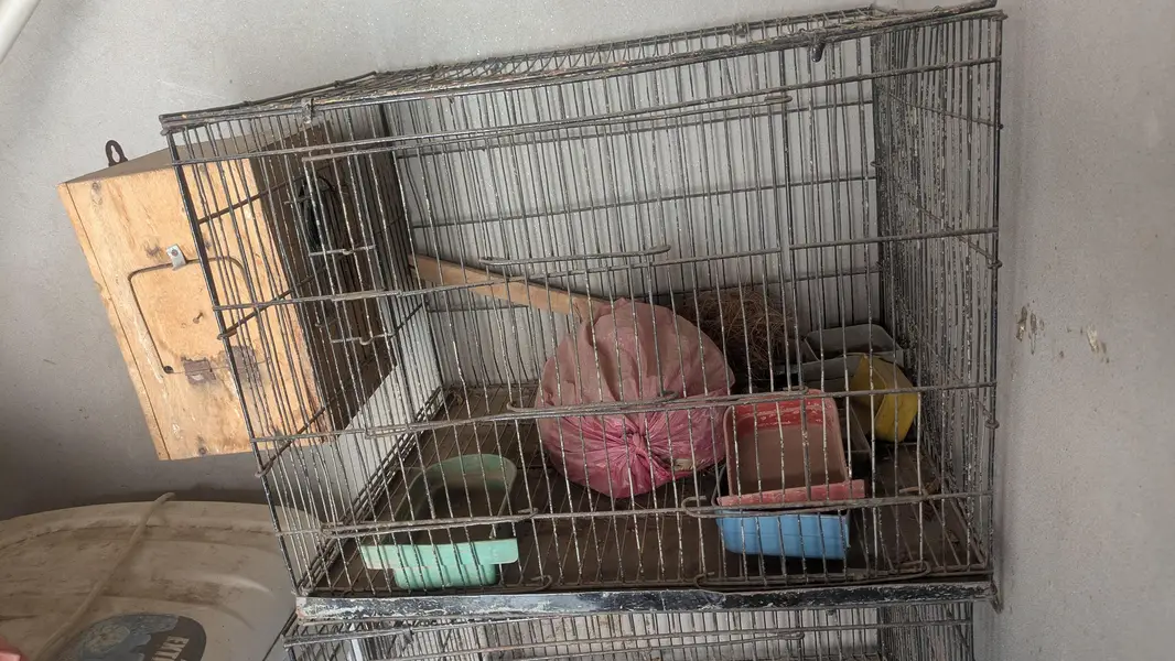 metal cage 4 piece — photo 3