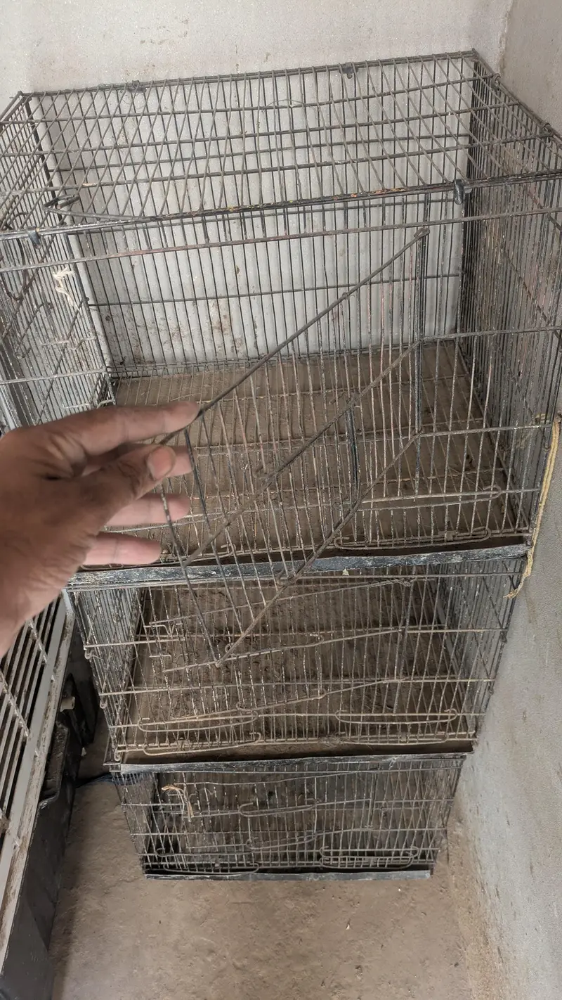 metal cage 4 piece — photo 4