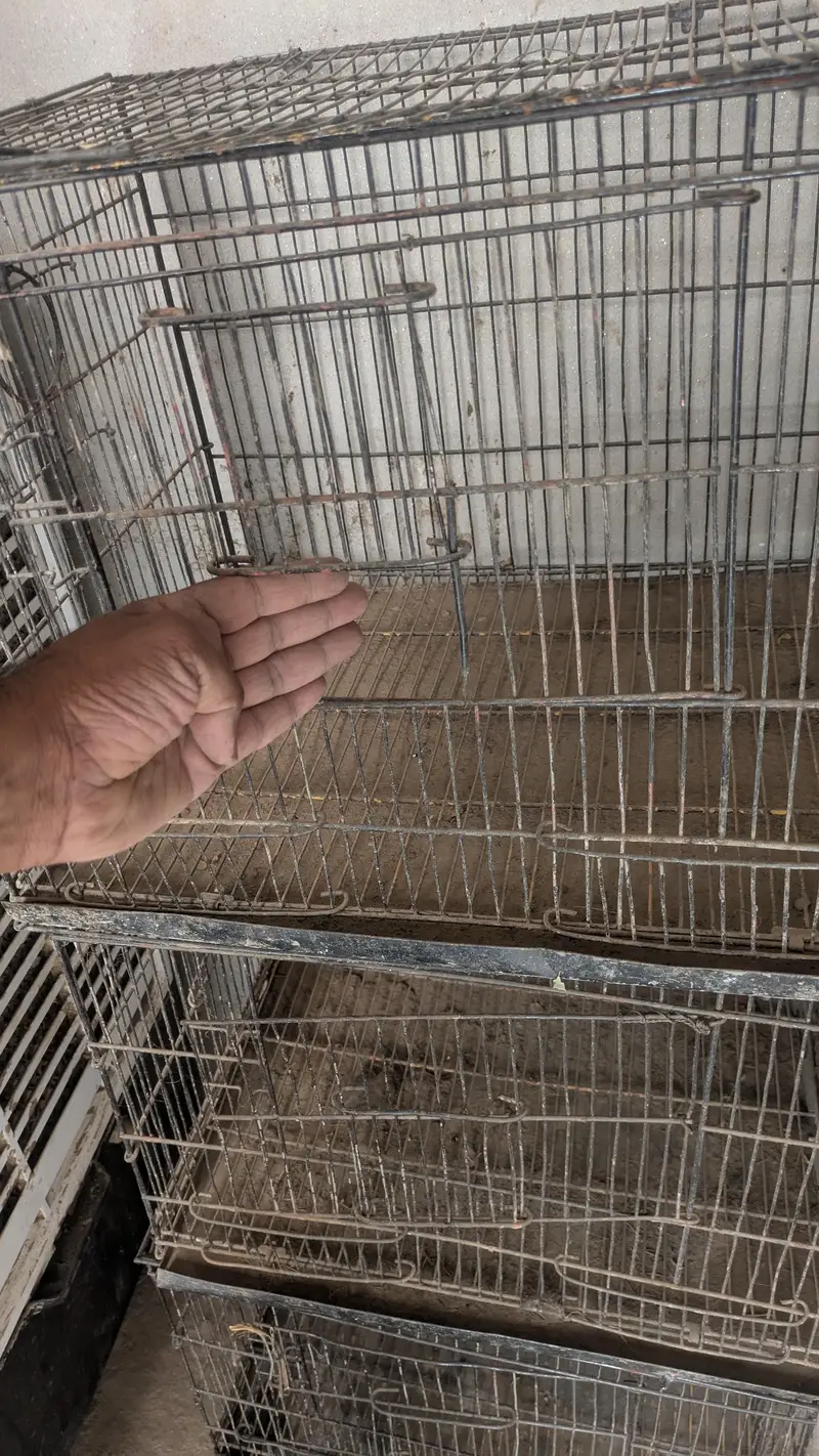 metal cage 4 piece — photo 5