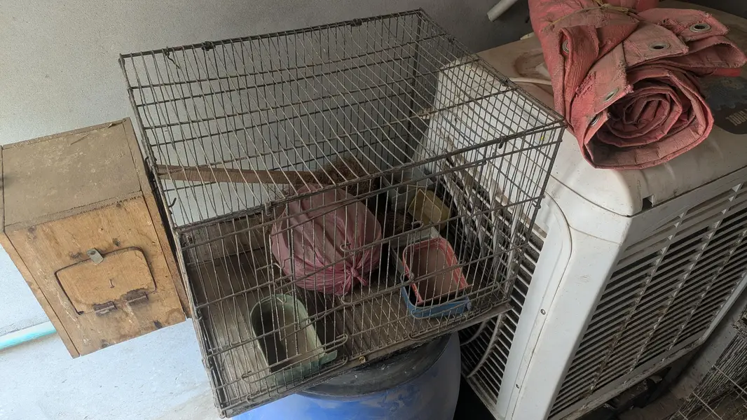 metal cage 4 piece — photo 6
